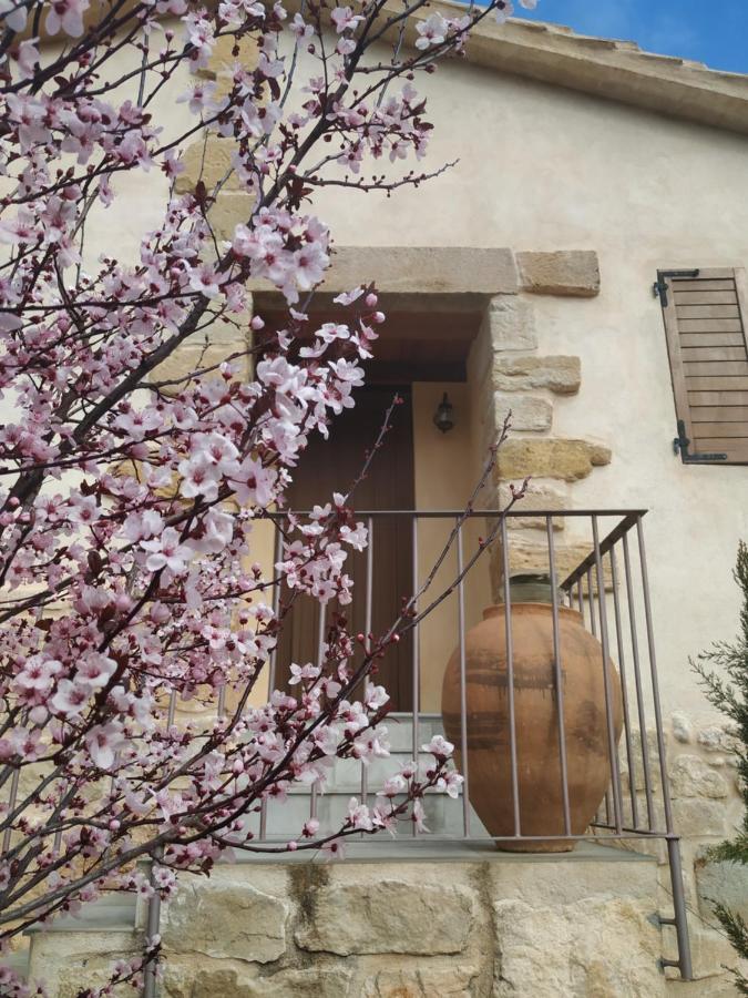 Maset Del Riu Pension Valderrobres Buitenkant foto