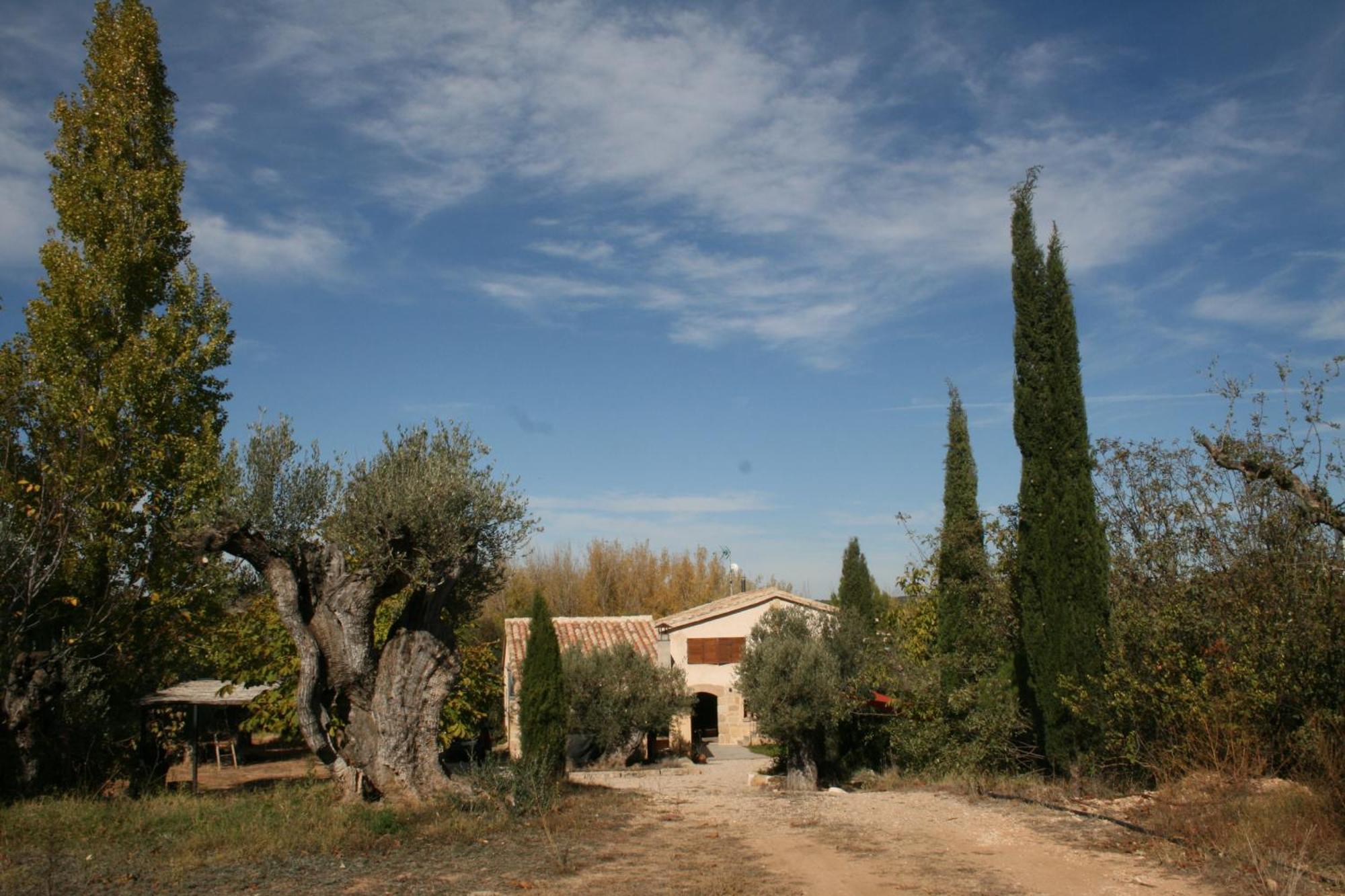 Maset Del Riu Pension Valderrobres Buitenkant foto
