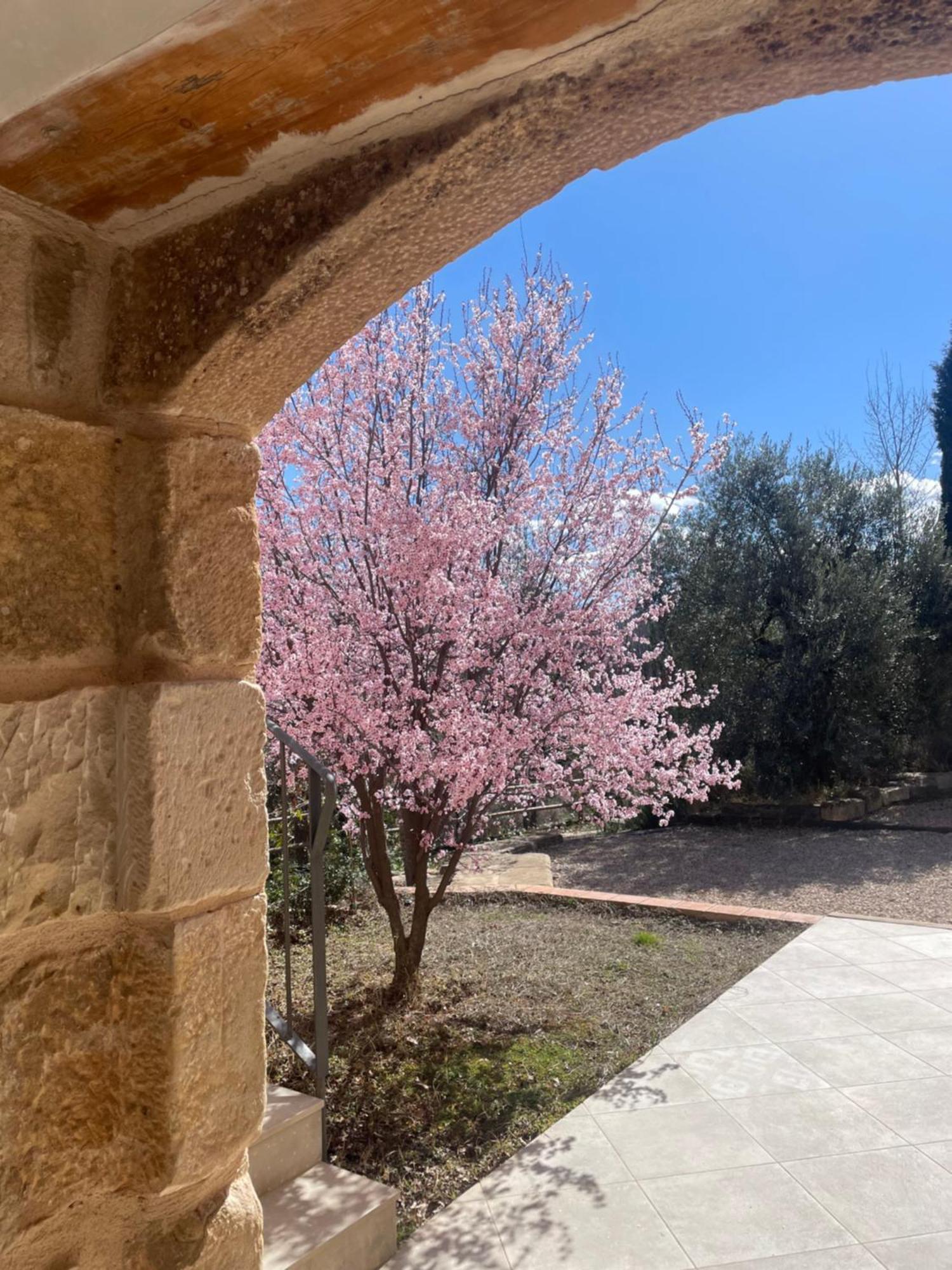 Maset Del Riu Pension Valderrobres Buitenkant foto