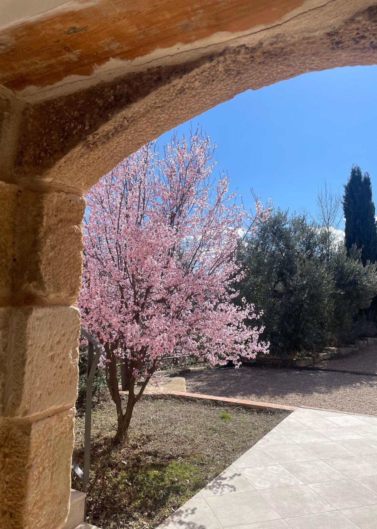 Maset Del Riu Pension Valderrobres Buitenkant foto