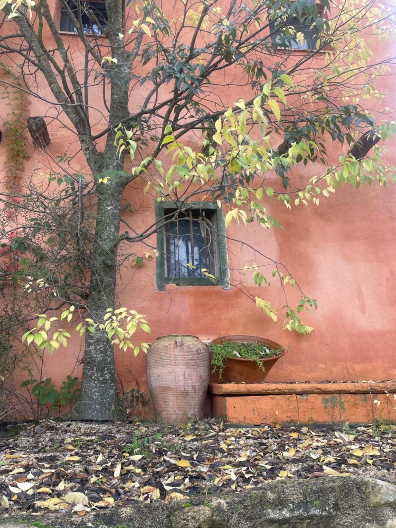 Maset Del Riu Pension Valderrobres Buitenkant foto